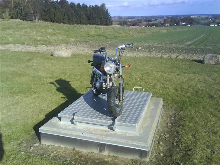 Skyteam monkey før billede 3