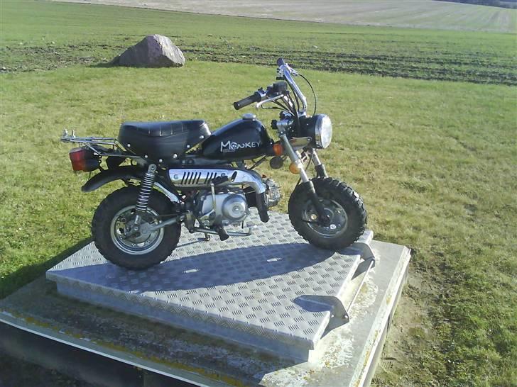 Skyteam monkey før billede 4