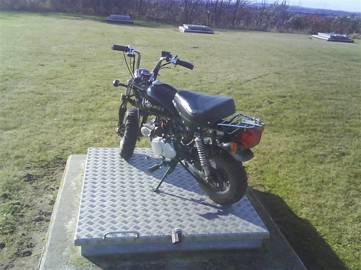 Skyteam monkey før billede 6