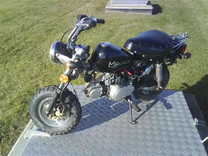 Skyteam monkey før billede 7