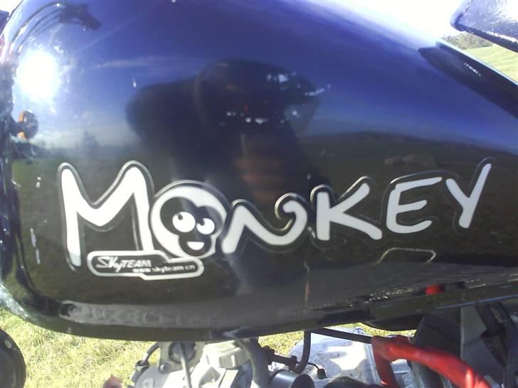 Skyteam monkey før billede 10