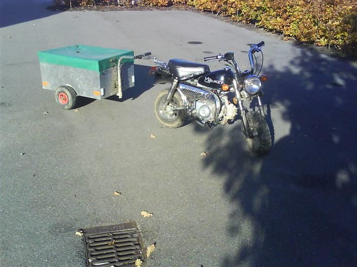 Skyteam monkey før billede 11