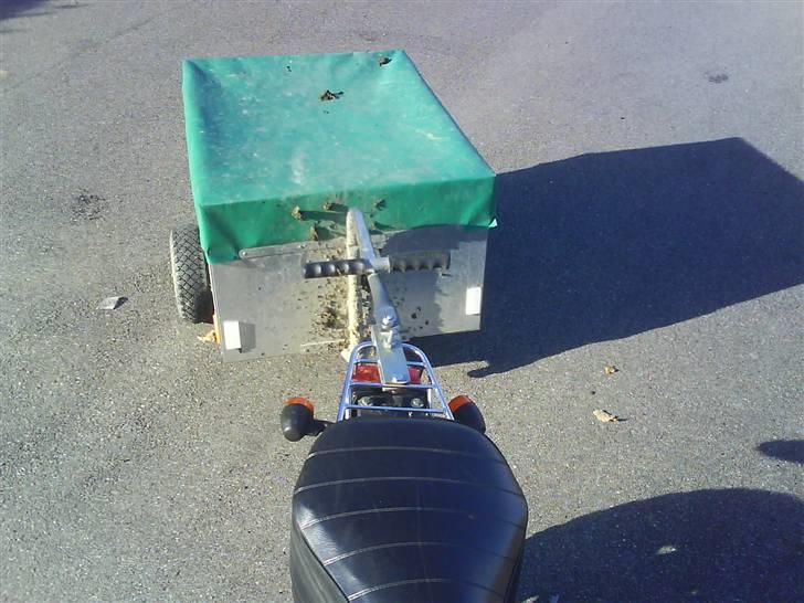 Skyteam monkey før billede 12