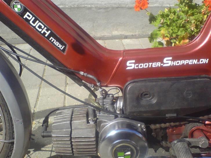 Puch Maxi KL billede 7