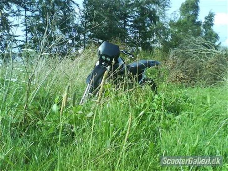 Suzuki RMX (Byttet til Runner) billede 6