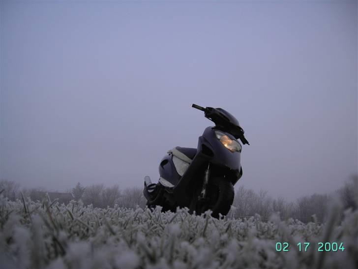 Honda Sfx ( The Demon ) Solgt billede 1