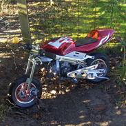 MiniBike Pocket Bike