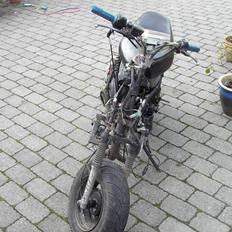 Adly 50 PROJECT! ( SOLGT )