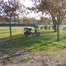 Aprilia Rally - only tp solgt