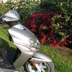 Yamaha Jog R *byttet til SMT*