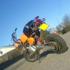 Jincheng monkey Orangutangen solgt