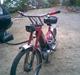 Puch Maxi Nice Eyes