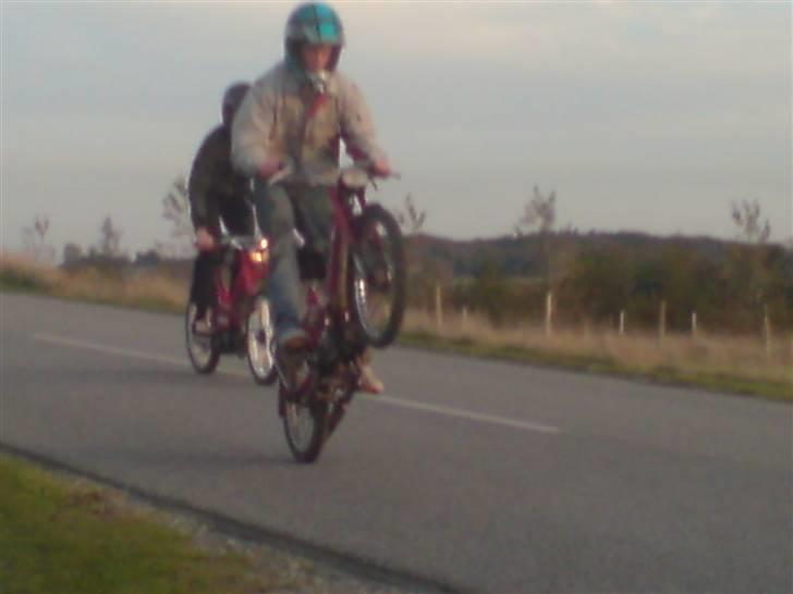 Puch Maxi P  - baghjul.. jesper i  baggrunden billede 20