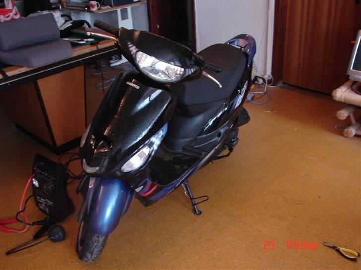 Giantco sprint(sport) (før) billede 1