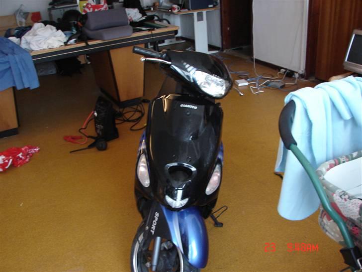 Giantco sprint(sport) (før) billede 7