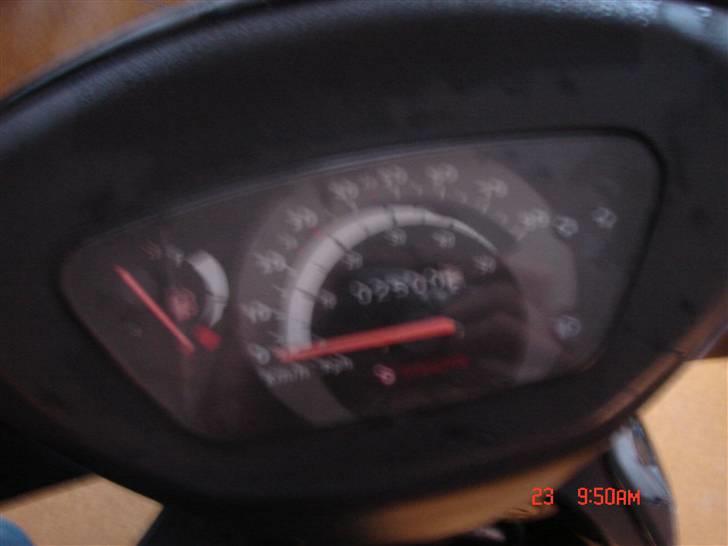 Giantco sprint(sport) (før) billede 10