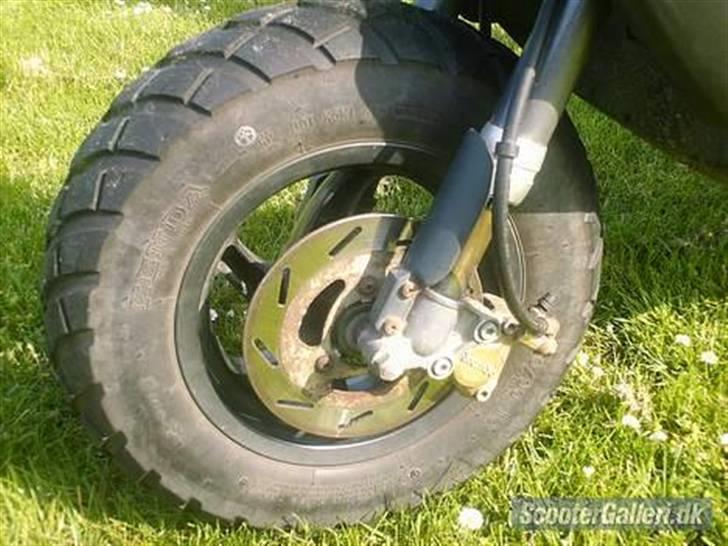 Gilera stalker, byttet billede 3