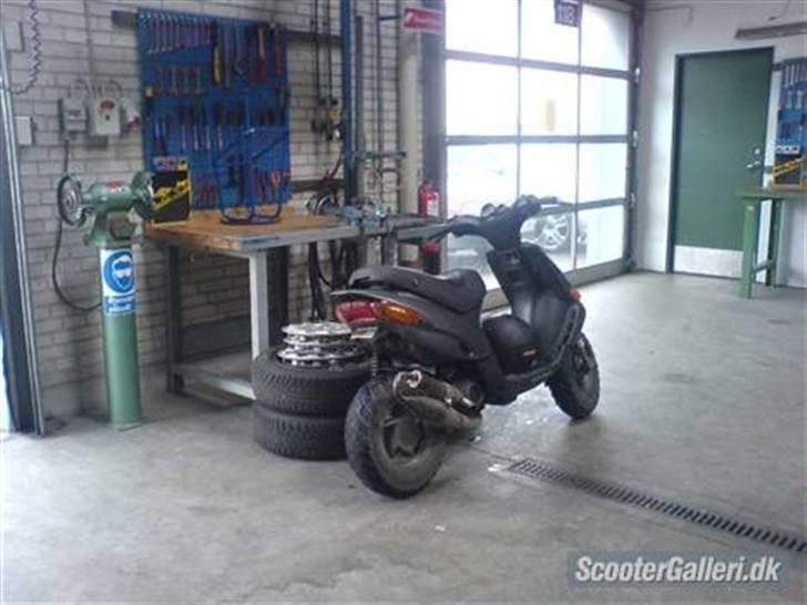 Gilera stalker, byttet billede 4