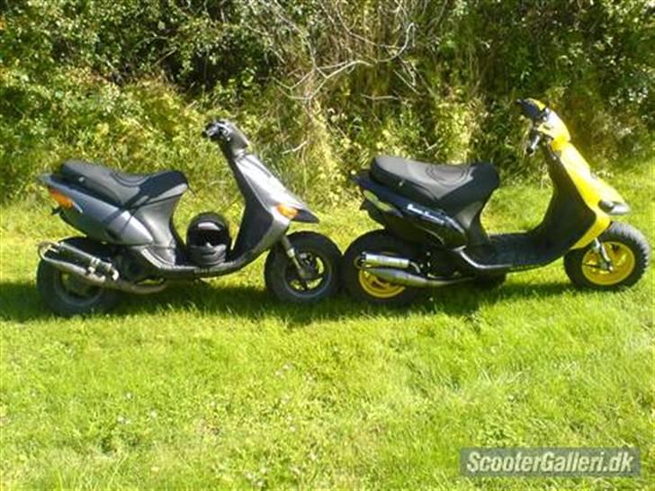 Gilera stalker, byttet billede 6