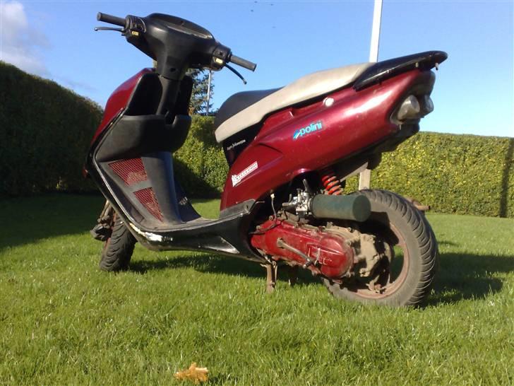 Honda sfx -  Byttet til ssm:) billede 3