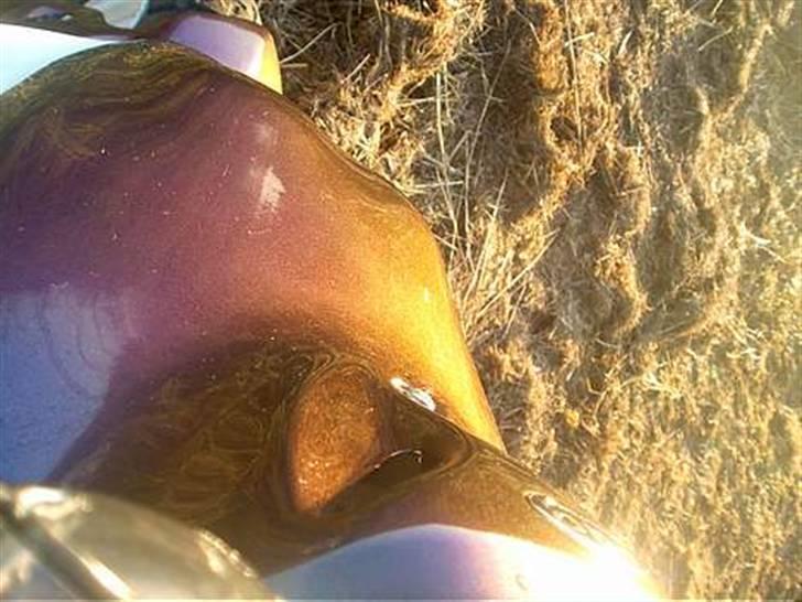 PGO Pmx Naked [RIP] billede 16