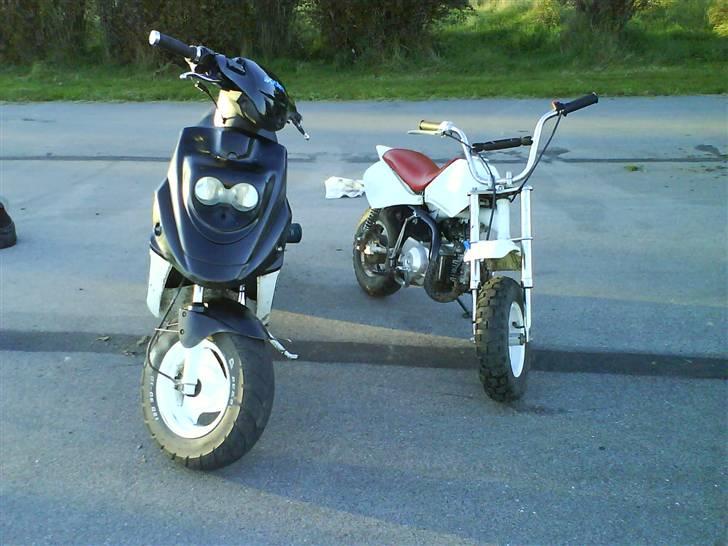 PGO hot50 byttet billede 8