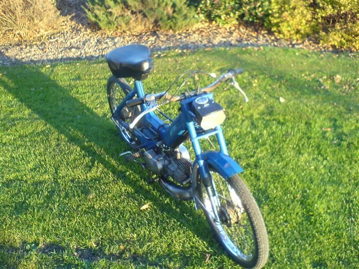 Puch Maxi "Low Rider" (Før) billede 7