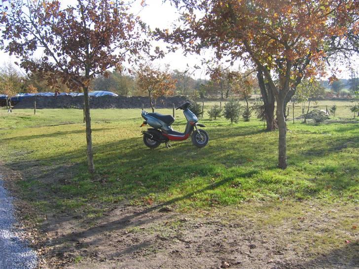 Aprilia Rally - only tp solgt billede 3