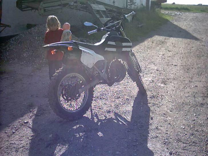 Suzuki rmx billede 5