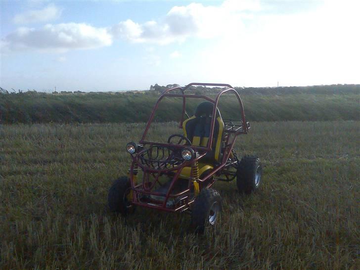 P. Lindberg  Buggy #BYTTET# - På marken om aftenen. billede 9