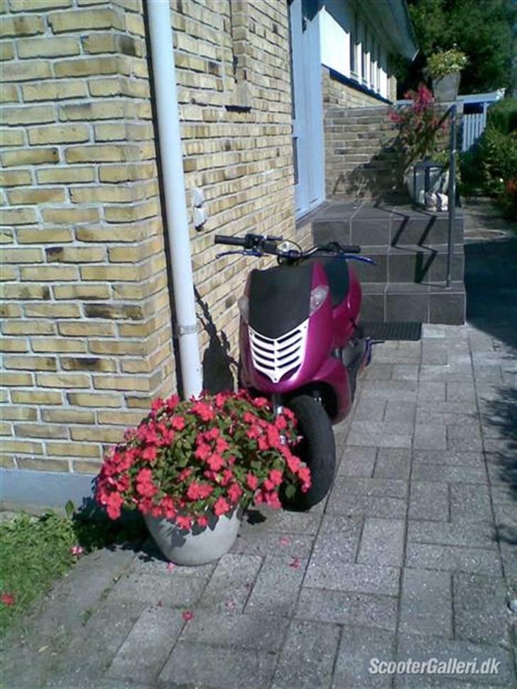 Aprilia ¬ » Sonic - SOLGT! billede 2