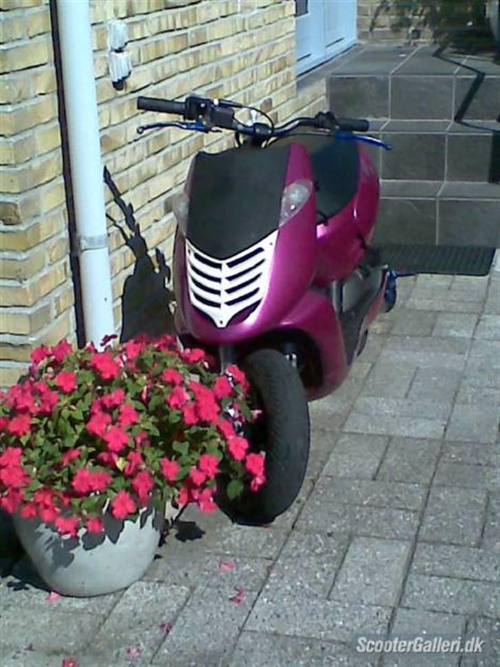 Aprilia ¬ » Sonic - SOLGT! billede 3