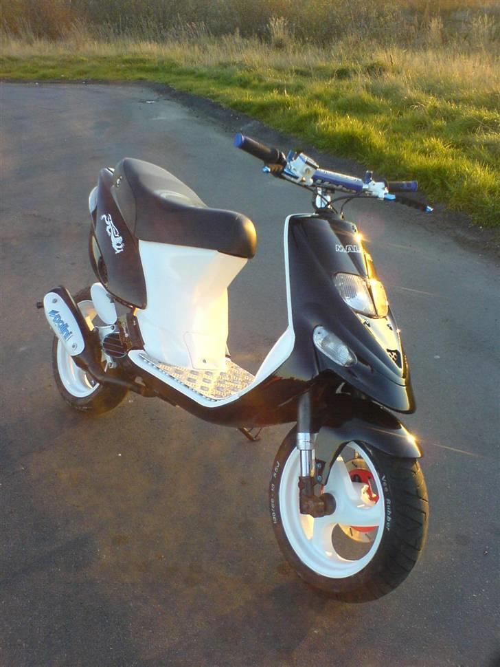 Gilera Stalker tp nrg solgt billede 5