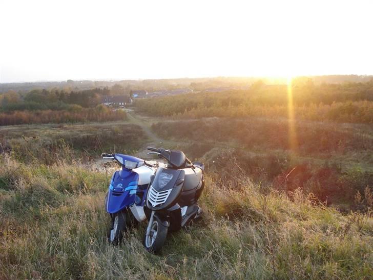 Yamaha Jog As Polini billede 16