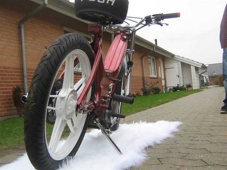 Puch maxi k Vildbassen *SOLGT* billede 7