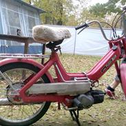 Puch maxi k1