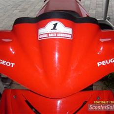 Peugeot speedfight 2