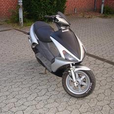 Benelli 491 AC (SOLGT) 