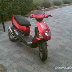 PGO Dr big Polini Solgt