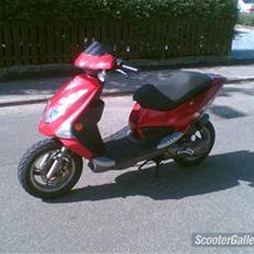 PGO Dr big Polini Solgt