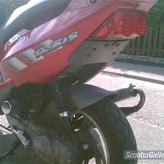 PGO Dr big Polini Solgt