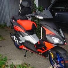 Aprilia ditech sr factory 07