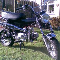 Honda DAX (KOPI)