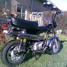 Honda DAX (KOPI)