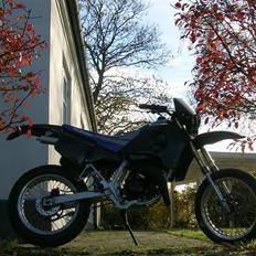 Suzuki SMX.