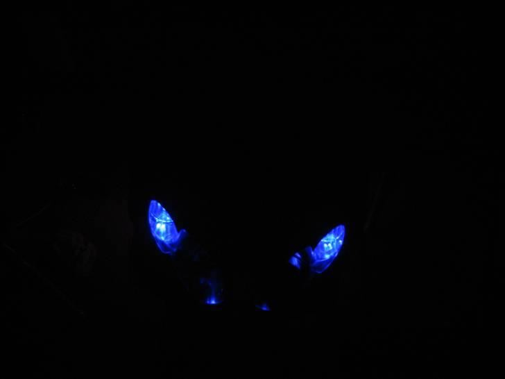 Peugeot Speedfight 2 307 WRC billede 7