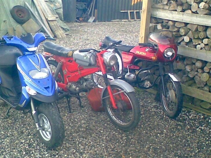 Puch monza.. HELT FÆRDIG:) - min stalker og monza. sammen med jacob k vz billede 19