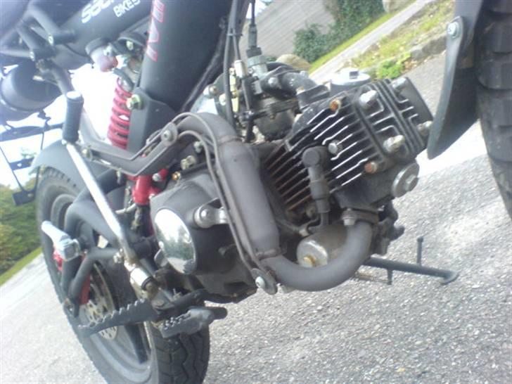 Sachs madass billede 3
