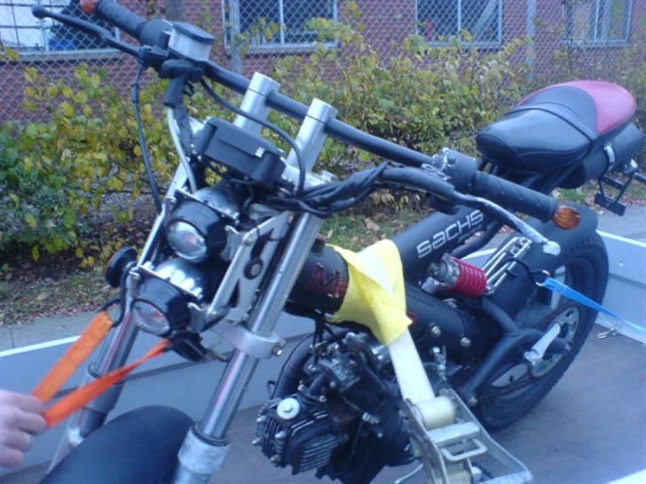 Sachs madass billede 7