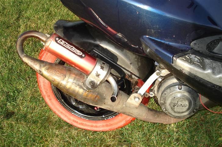 PGO dr.big byttet til street billede 2